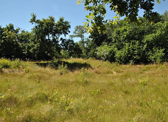 Ferienhaus Velduil in De Cocksdorp Texel, umgeben von gruener Natur und Ruhe.
