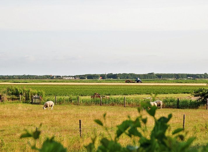 Het Wulpenlied vakantiehuis in De Cocksdorp Texel met charmante voorgevel en groene tuin.