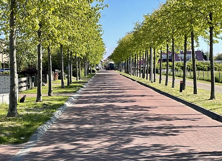Gezellige woonkamer van Vakantiehuis 34A in De Cocksdorp, Texel met moderne inrichting.