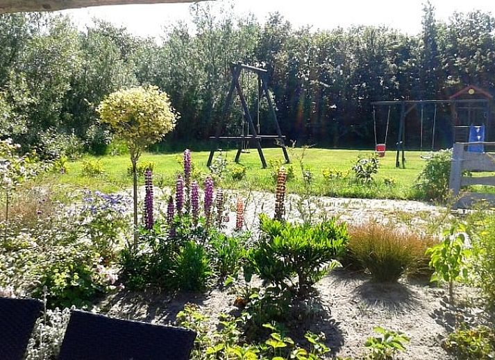 Gemuetliches Wohnzimmer in Cottage in De Cocksdorp, Texel mit bequemen Sofas und einer gruenen Wand, ideales Ferienhaus auf den Watteninseln.