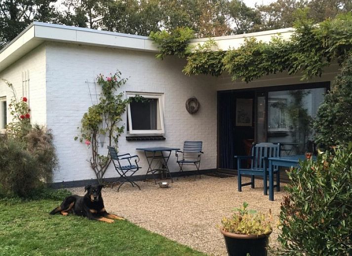 Unterkunft 010127 - Ferienhaus Texel - Bungalow Slufterduin - De Blauwe Skor