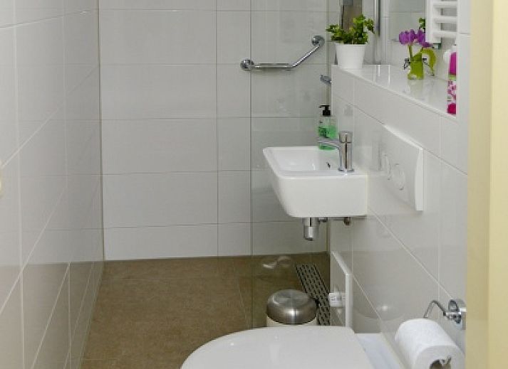 De Vlinder vacation home in De Cocksdorp, Texel with sunny veranda and green garden.