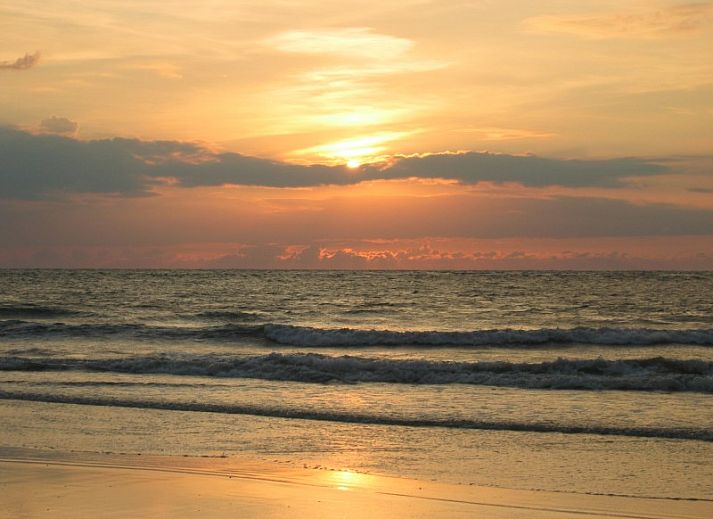 Aussenterrasse des Ferienhauses Junier/Huisman in Sued-Eierland, Texel, umgeben von viel Gruen.