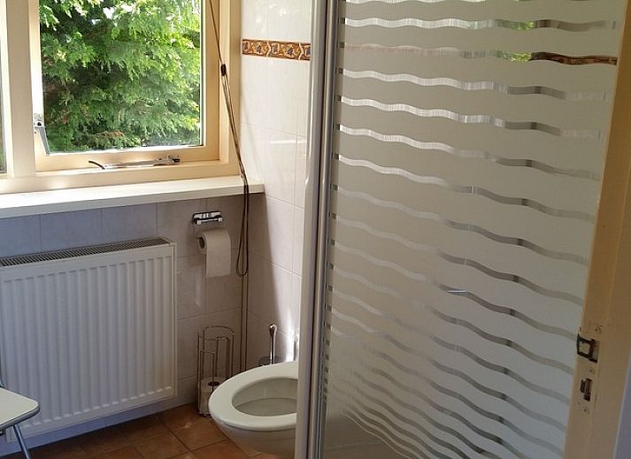 Vakantiehuis Ganzenvlucht in De Cocksdorp Texel met zonnig terras en natuurlijke omgeving.