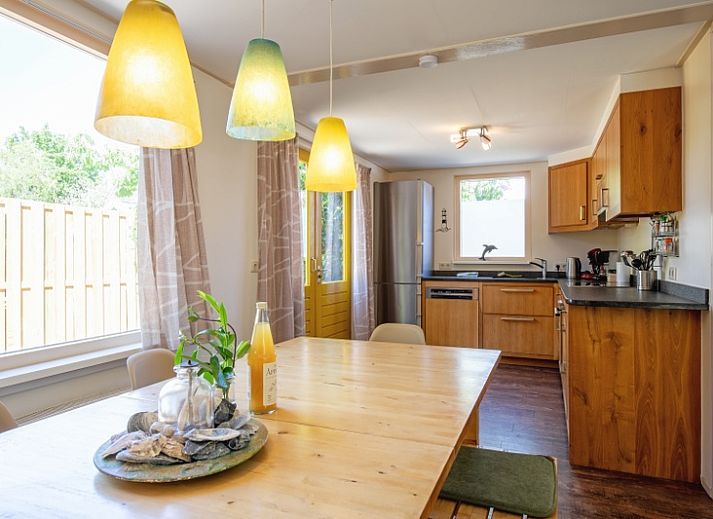 Vakantiehuis Ganzenvlucht in De Cocksdorp Texel met zonnig terras en natuurlijke omgeving.