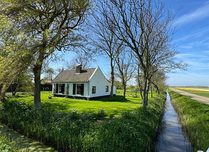 Ferienhaus Paal 91 Texel in De Cocksdorp, umgeben von viel Gruen und Ruhe auf Texel, Watteninseln.