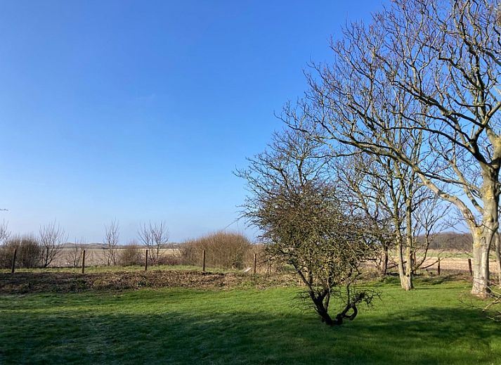 Veranda von Paal 91 Texel in De Cocksdorp, ideal zum Entspannen in der Natur von Texel, Wadden Islands.