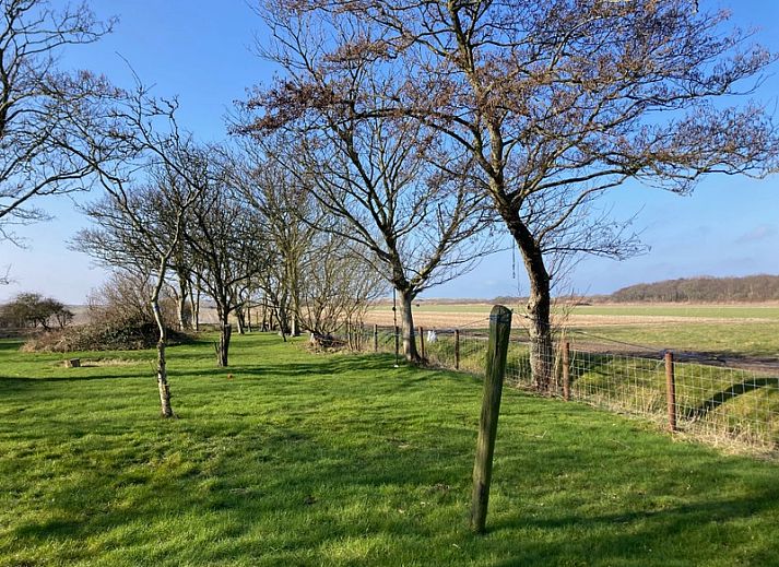 Veranda von Paal 91 Texel in De Cocksdorp, ideal zum Entspannen in der Natur von Texel, Wadden Islands.