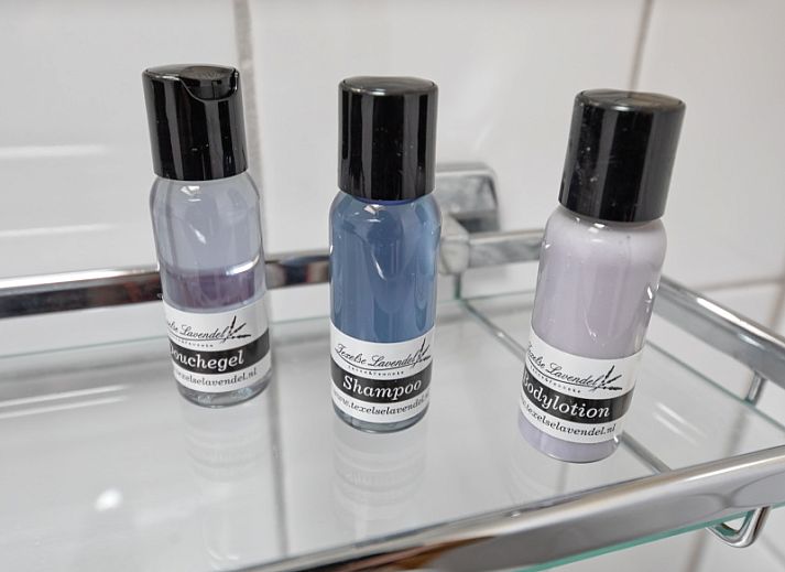 Gezellige zithoek in Type 1 - 2100 vakantiewoning, Texel, Waddeneilanden.