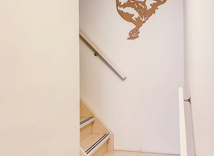 Moderne keuken in Vakantiehuis in De Cocksdorp, Texel voorzien van alle gemakken.