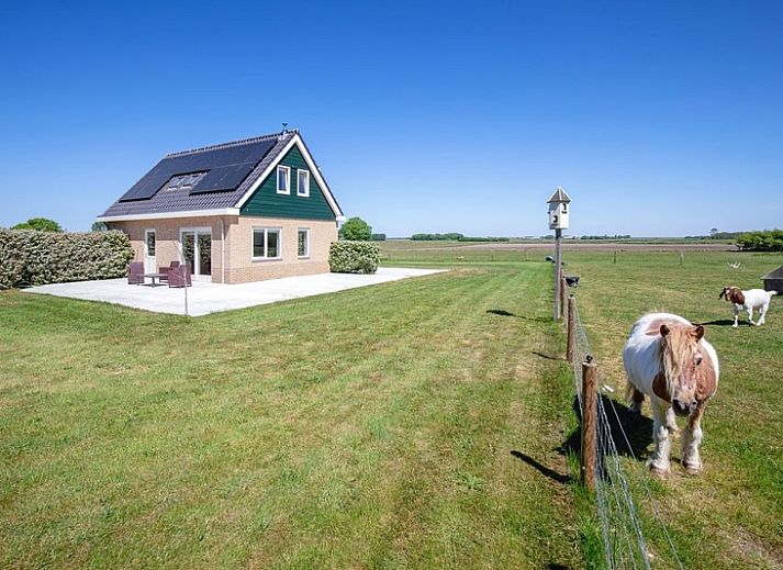 Luchtfoto van Texels Vakantiehuis in De Cocksdorp, omgeven door uitgestrekte natuur op Texel, Waddeneilanden.