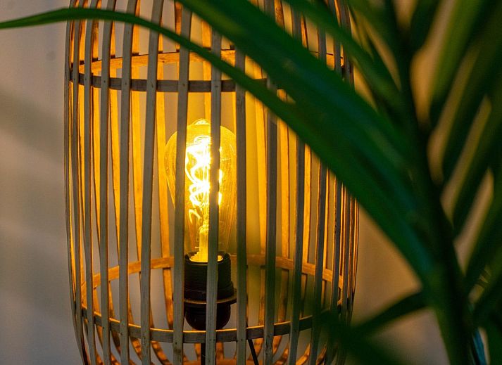 Verblijf 0101454 - Vakantiewoning Texel - Pavilion