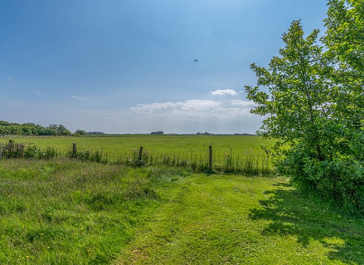 Lichte woonkamer van Vakantiehuisje in De Cocksdorp, Texel met uitzicht op groene natuur en ruime eethoek, ideaal voor ontspanning.