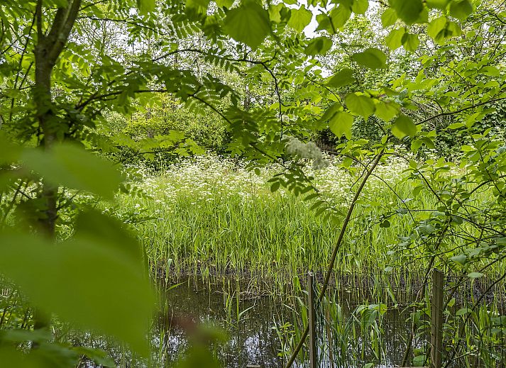 Guest house 0101460 - Holiday property Texel - 49 - Krim 698