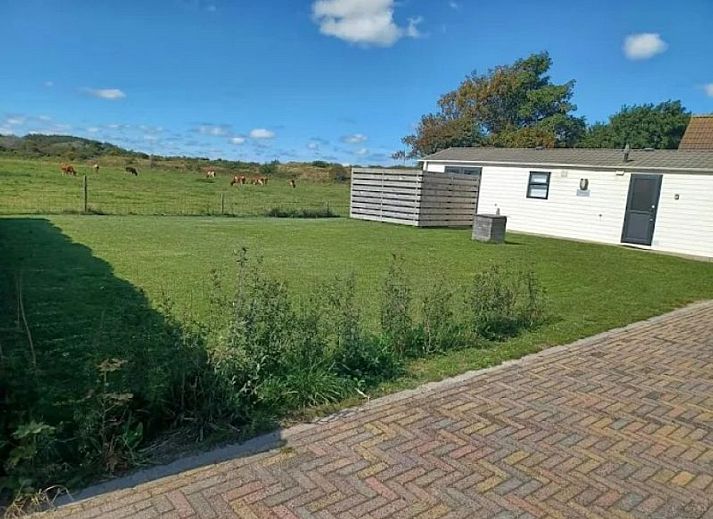 Chalet Duunzicht in De Cocksdorp, Texel offers a serene garden overlooking grazing cows, ideal for nature lovers on the Wadden Islands.