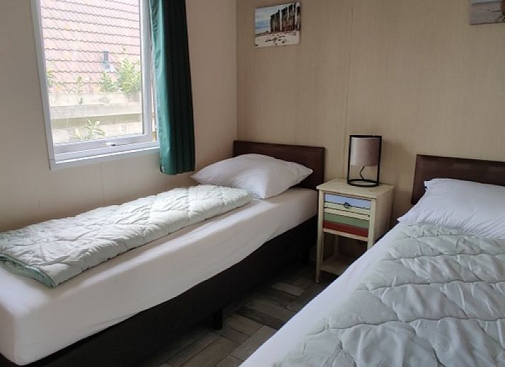 Enjoy the view of grazing cows in nature around Chalet Duunzicht, a vacation home in De Cocksdorp, Texel, Wadden Islands.