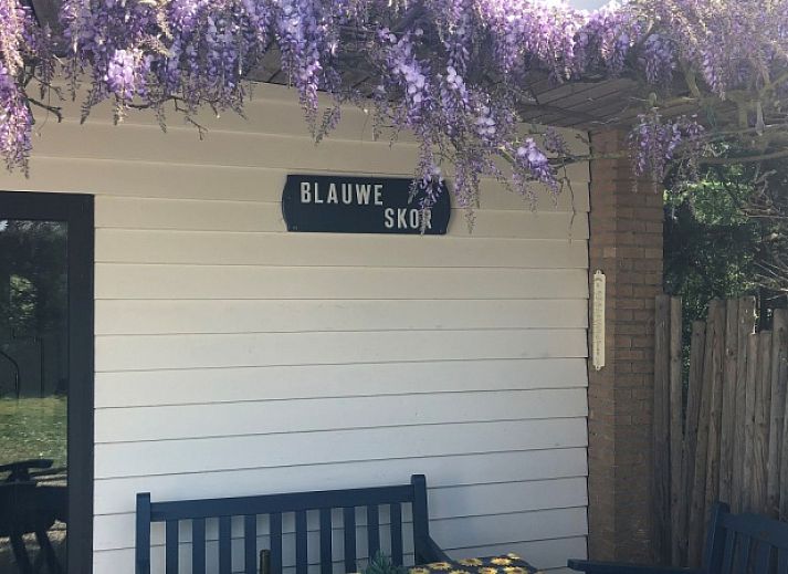 Geniet van de rust bij Bungalow Slufterduin - De Blauwe Skor in De Cocksdorp, Texel, met een uitnodigend terras te midden van groene natuur.