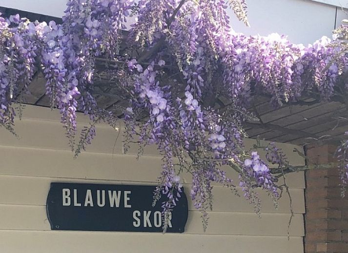 Geniet van de rust bij Bungalow Slufterduin - De Blauwe Skor in De Cocksdorp, Texel, met een uitnodigend terras te midden van groene natuur.