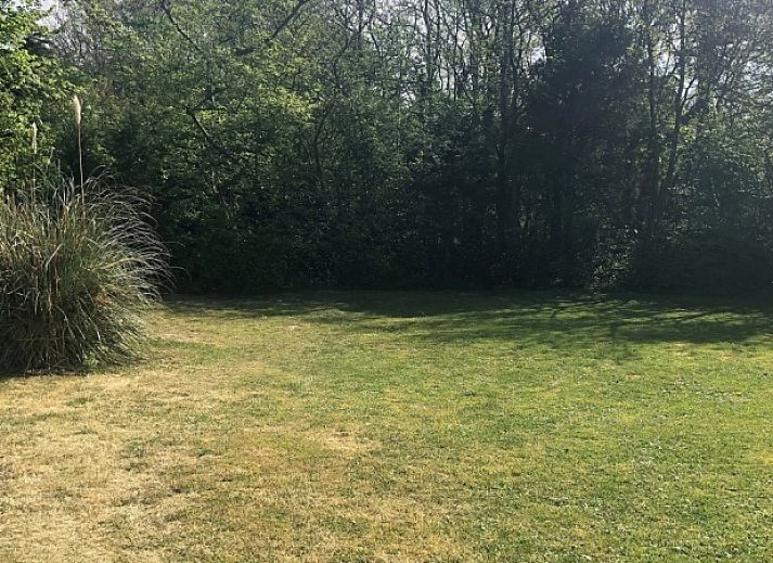 Ontspan op het terras van Bungalow Slufterduin - De Blauwe Skor in De Cocksdorp, Texel, omgeven door groene natuur en rust.