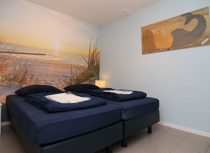 Vakantiehuis D 685 in De Cocksdorp, Texel biedt een charmant verblijf met zonnig terras en groene omgeving op de Waddeneilanden.