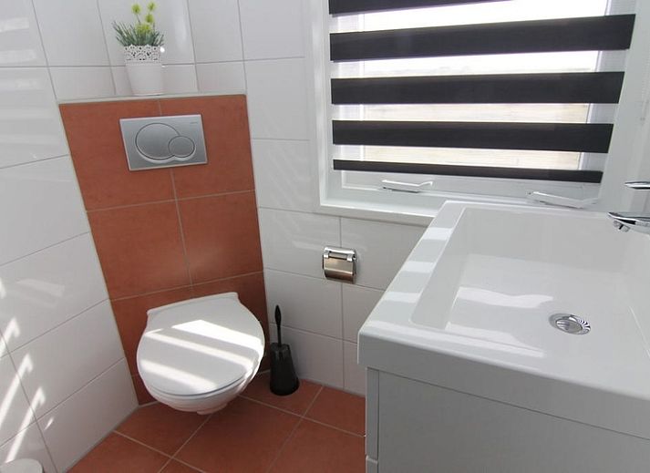 Vakantiehuis B 127 in De Cocksdorp, Texel biedt een zonnig terras met uitzicht op de natuur van de Waddeneilanden.