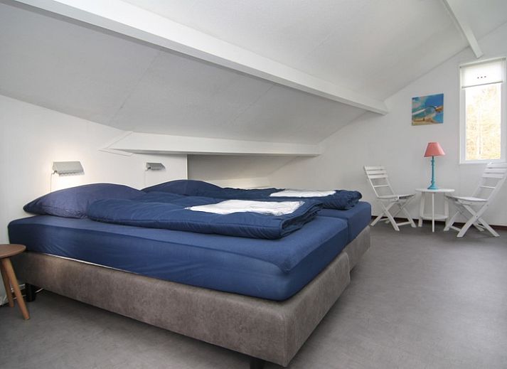 Vakantiehuis C 081 in De Cocksdorp, Texel, met zonnig terras en omringd door groene natuur op de Waddeneilanden.