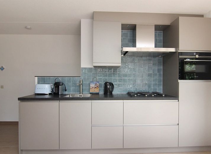 Das Ferienhaus D 489 in De Cocksdorp, Texel, bietet ein charmantes Aeusseres mit einem gruenen Garten und rustikaler Architektur auf den Watteninseln.