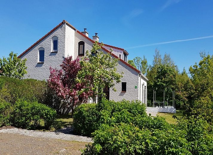 Ferienhaus D 657 in De Cocksdorp, Texel, umgeben von ueppiger Natur und bluehenden Straeuchern, ideal fuer einen erholsamen Aufenthalt auf den Watteninseln.