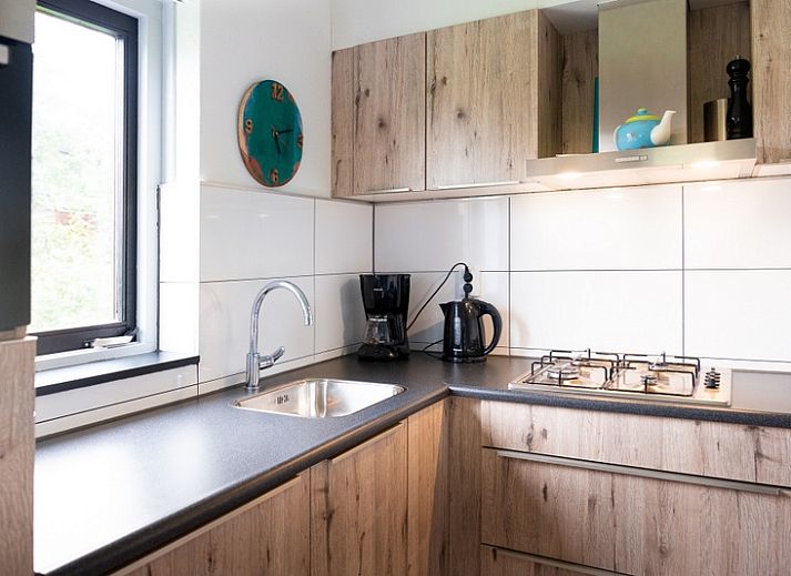 Das Ferienhaus B 043 in De Cocksdorp, Texel, bietet eine ruhige Gartenumgebung mit moderner Architektur auf den Watteninseln.