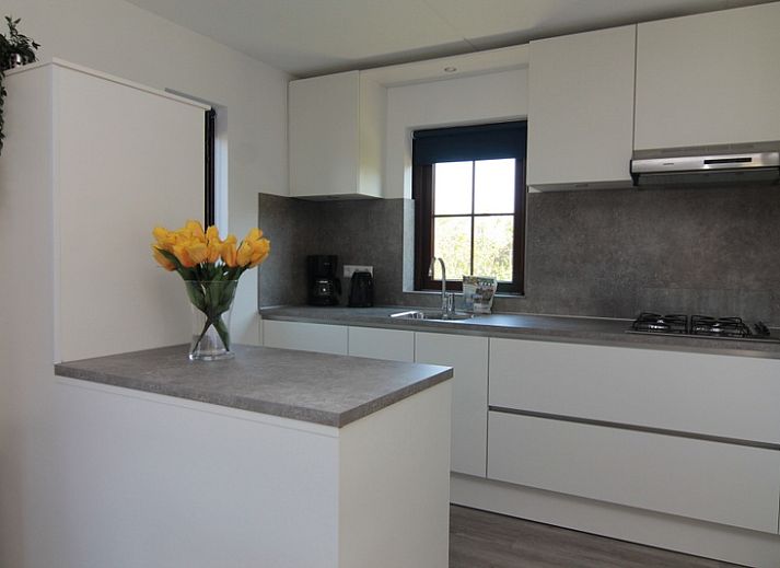 Vakantiehuis F 575 in De Cocksdorp, Texel biedt een charmante buitenruimte met groene tuin en uitnodigende natuur.