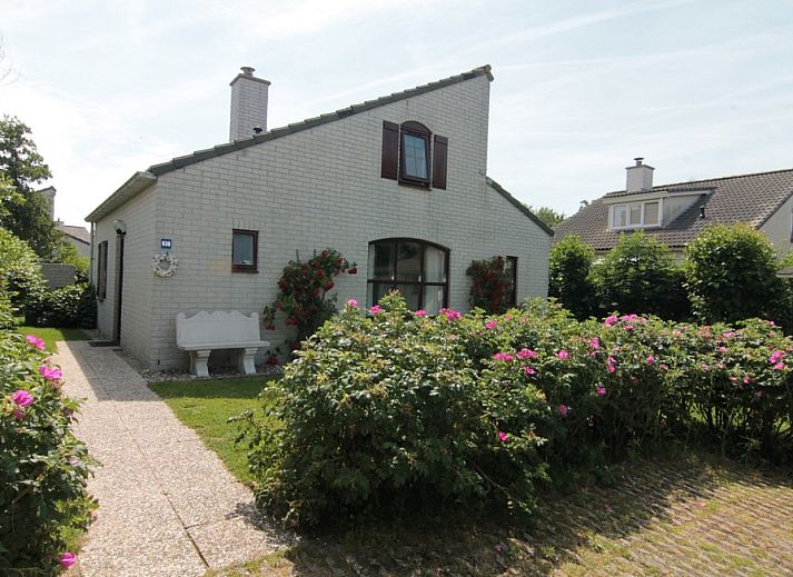 Vakantiehuis E 638 in De Cocksdorp, Texel biedt een charmante tuin en uitnodigende buitenruimte op de Waddeneilanden.