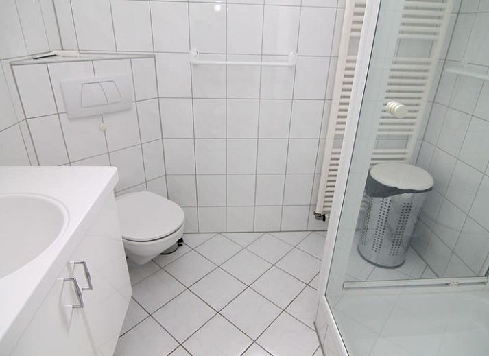 Vakantiehuis E 638 in De Cocksdorp, Texel, omgeven door bloeiende rozenstruiken en een zonnige tuin, ideaal voor een ontspannen verblijf.