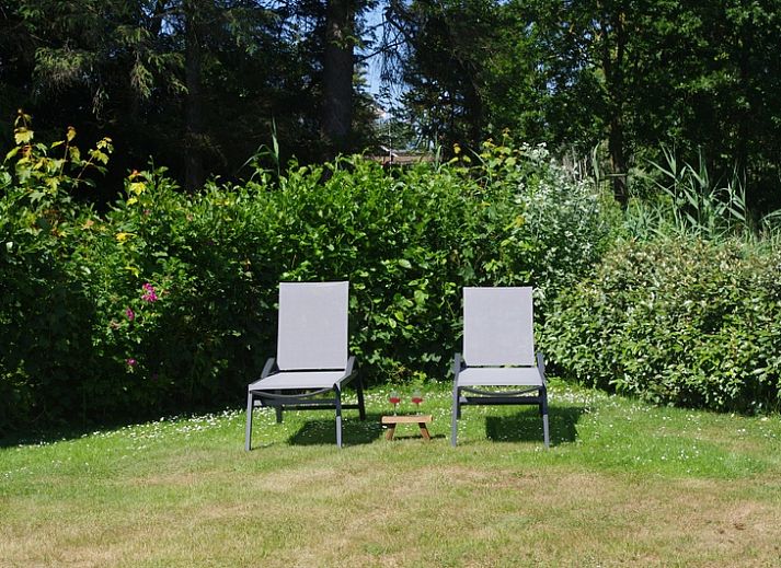 Vacation home F 776 in De Cocksdorp, Texel offers a serene outdoor space with green surroundings and spacious driveway, ideal for a relaxing stay.