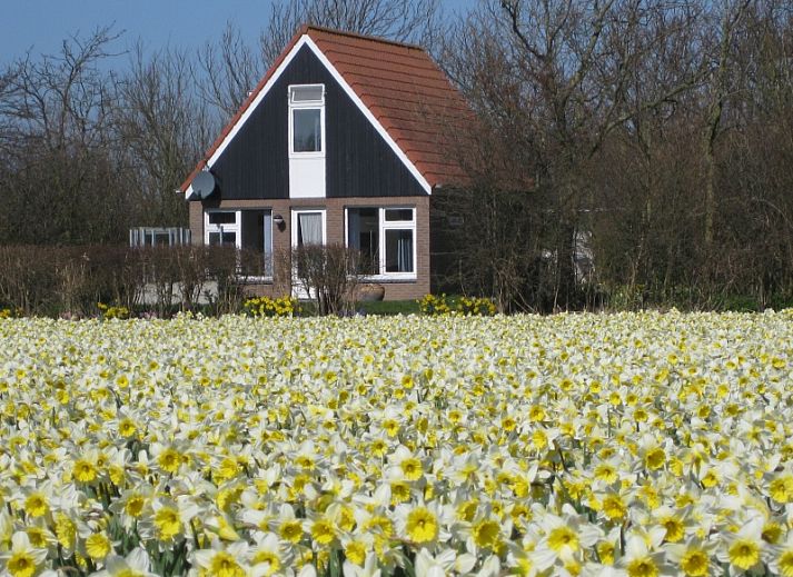 Bungalow Klein Axel, charmant vakantiehuis met terras in De Cocksdorp, Texel, omgeven door groene natuur.
