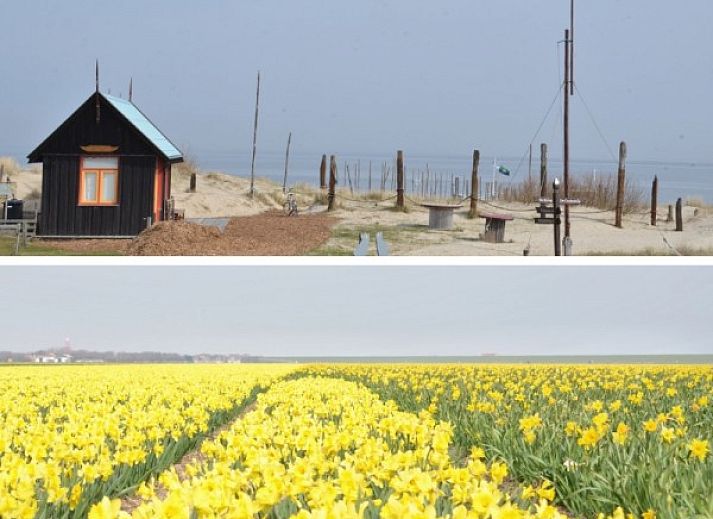 Cozy living room of bungalow Teenstrapad in De Cocksdorp, Texel, ideal for relaxation.