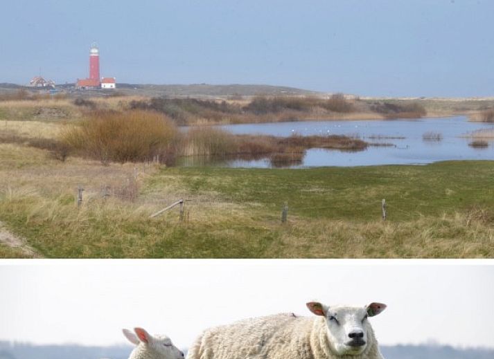 Cozy living room of bungalow Teenstrapad in De Cocksdorp, Texel, ideal for relaxation.