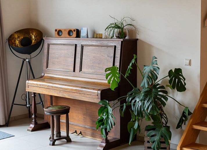 Unterkunft 010173 - Ferienhaus Texel - Paal 86 Texel