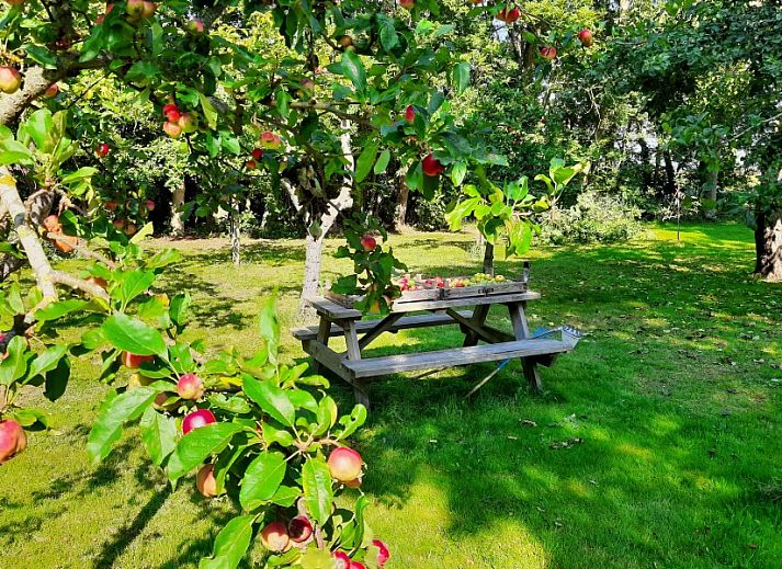 Unterkunft 010173 - Ferienhaus Texel - Paal 86 Texel