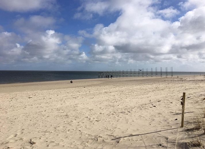 Unterkunft 0101750 - Appartement Texel - Stoeterij C65