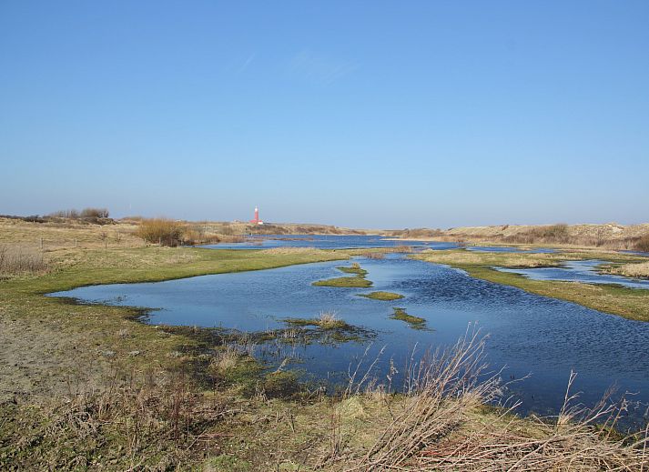Unterkunft 0101750 - Appartement Texel - Stoeterij C65