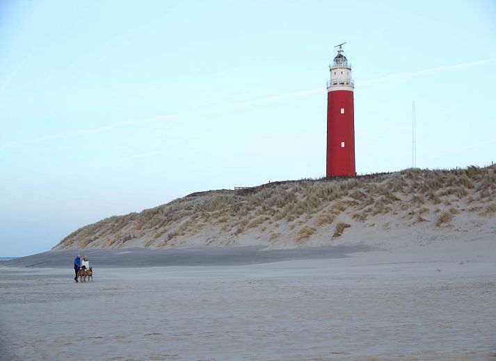 Unterkunft 0101750 - Appartement Texel - Stoeterij C65