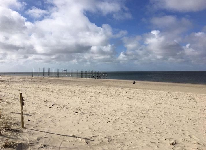 Unterkunft 0101750 - Appartement Texel - Stoeterij C65