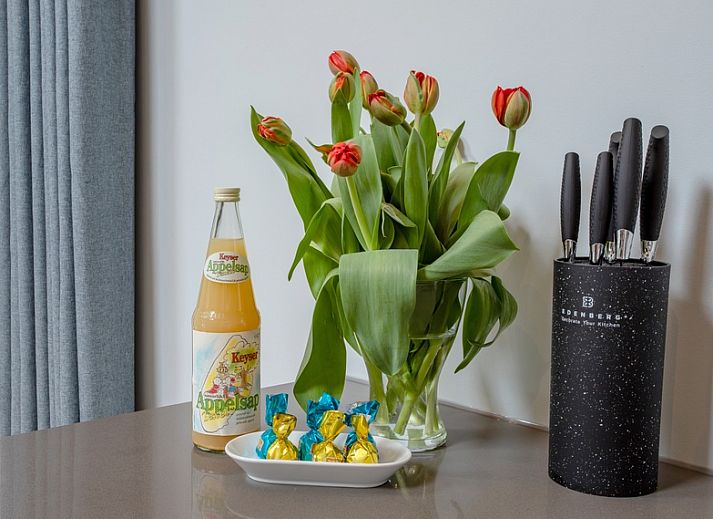 De Houtsnip vakantiehuis in De Koog, Texel met groene tuin en moderne architectuur.