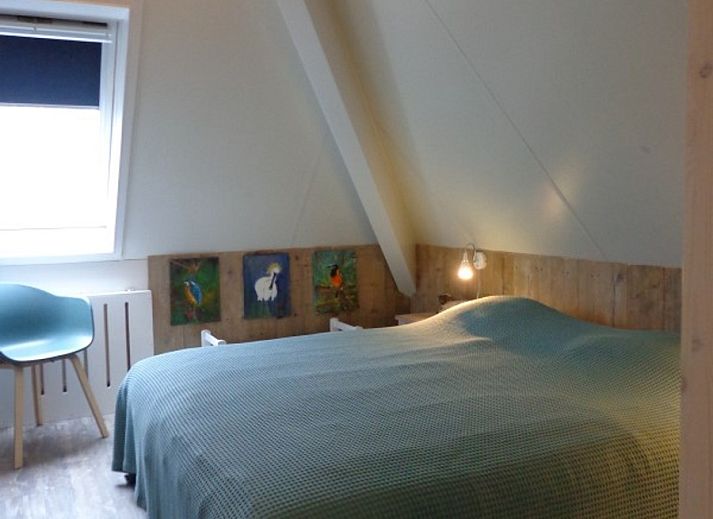 Sommergarten in Residence California - Geborchenheit - 361, Ferienunterkunft in De Koog, Texel, Watteninseln.