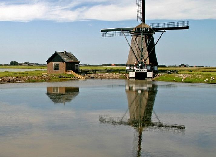 Unterkunft 0102128 - Ferienhaus Texel - Hoog Koog 23A