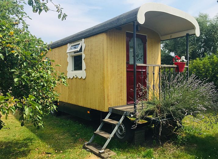 Verblijf 01021293 • Vakantiewoning West Brabant • Pipowagen de Weideblick