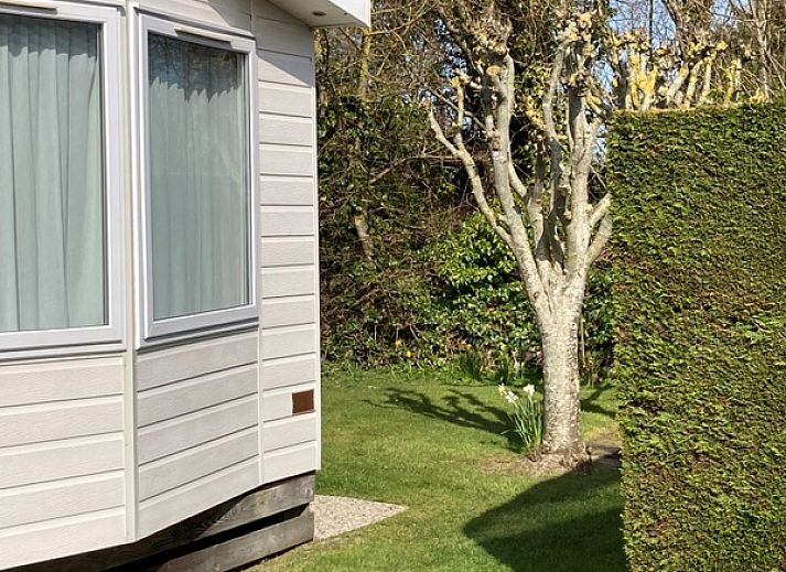 Gemuetliches Wohnzimmer des Chalets Jori auf dem Campingplatz Coogherveld in De Koog, Texel. Gemuetliche Sitzecke mit viel natuerlichem Licht.