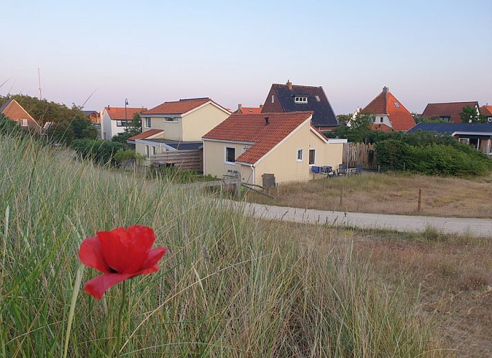 Verblijf 0102223 • Vakantiewoning Texel • Mienterglop 7k