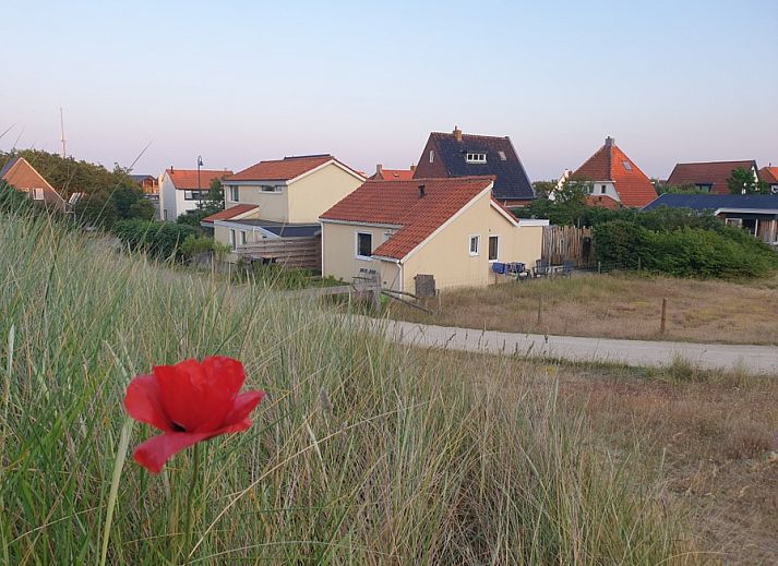 Guest house 0102223 • Holiday property Texel • De Duinpan - Duinhuisje Texel 