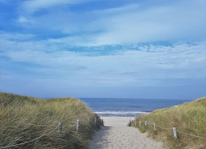 Entree van vakantiehuis De Anemoon in De Koog, Texel. Sfeervolle tuin met kleurrijke bloemen.